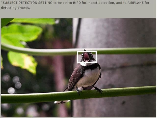 Subject Detection Autofocus