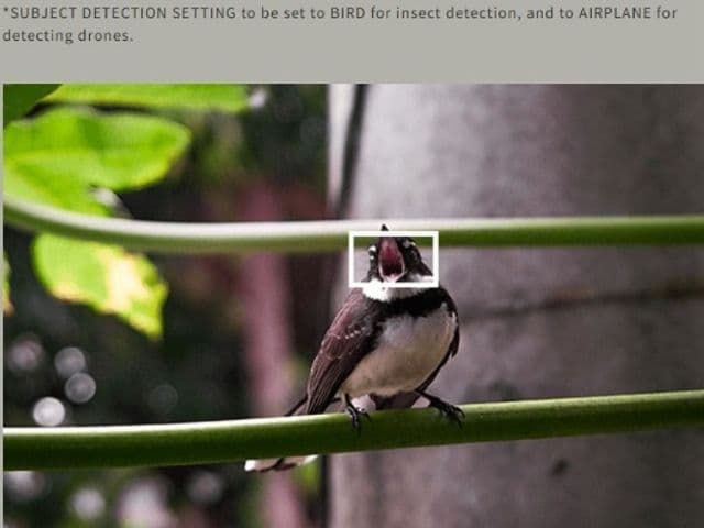 Subject Detection Autofocus